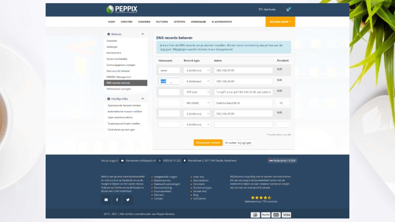 DNS beheer via Mijn Peppix: records beheren voor Google Workspace bij Peppix