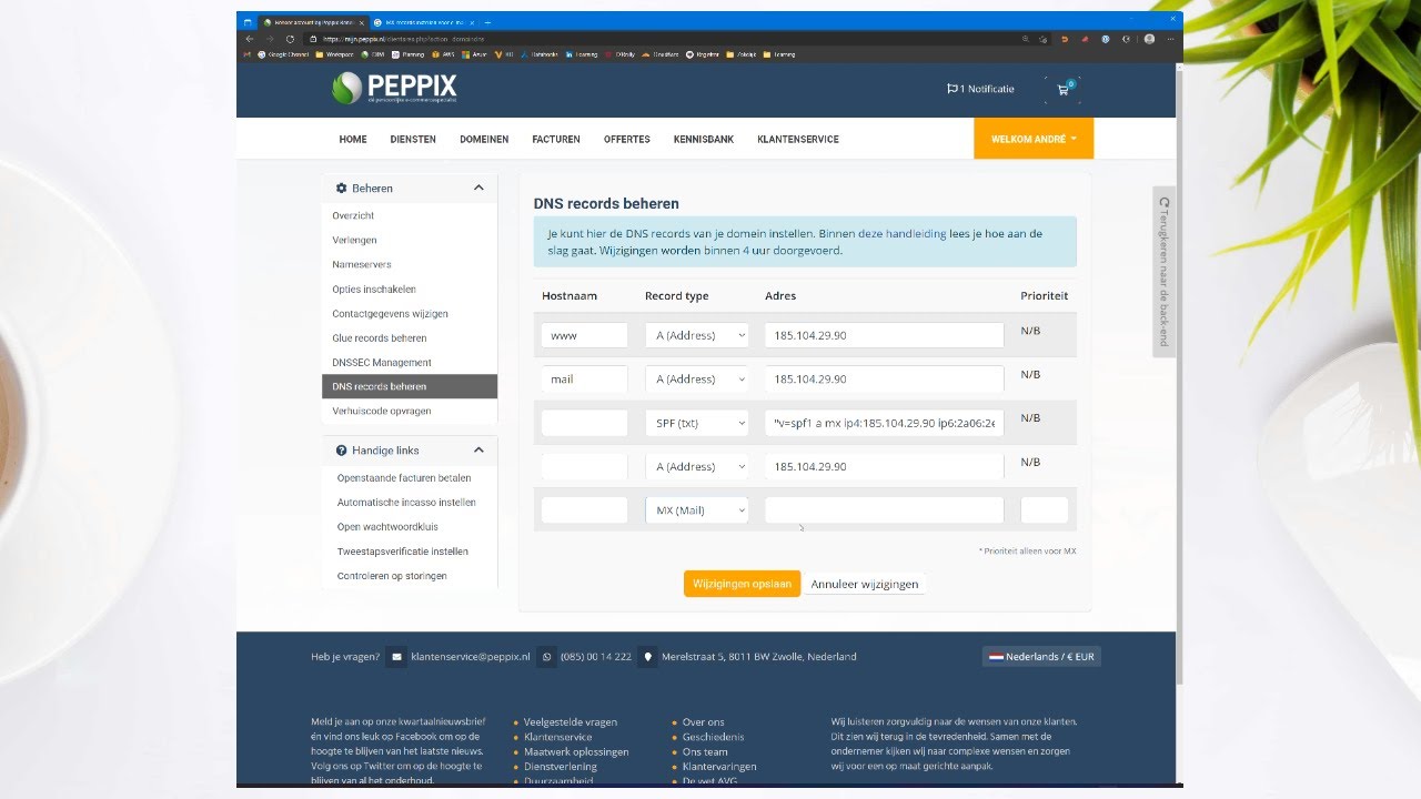 DNS beheer via Mijn Peppix: MX records toevoegen voor Google Workspace of Office365 bij Peppix