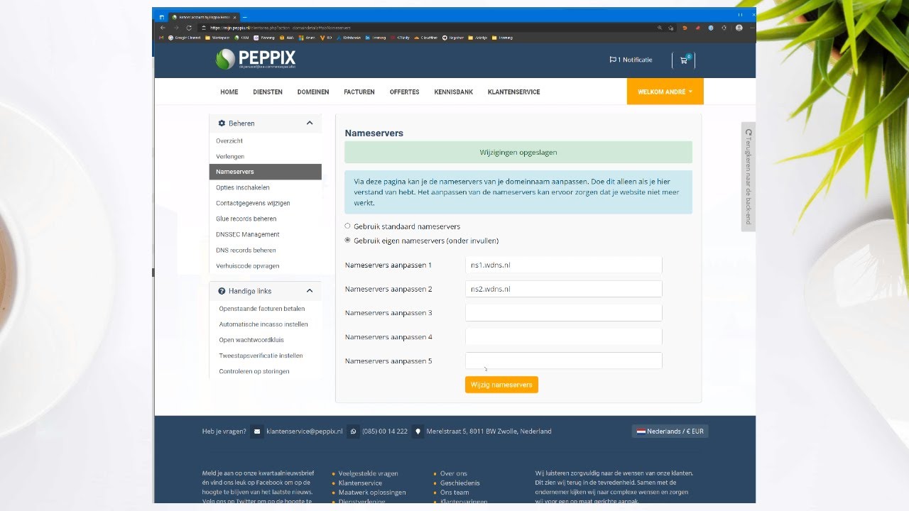 DNS beheer via Mijn Peppix: nameservers instellen voor Gmail bij Peppix