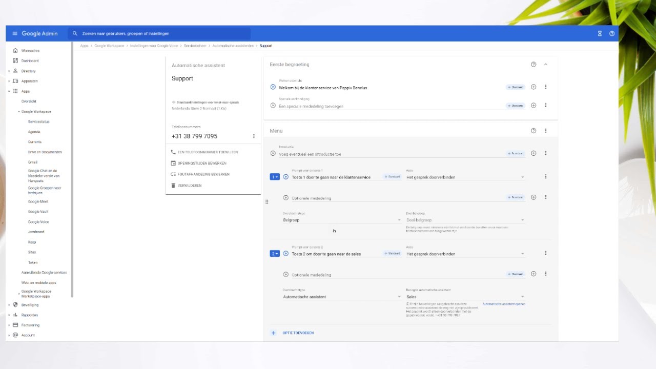 Hoe stel ik een nummer assistent in via Google Voice? bij Peppix