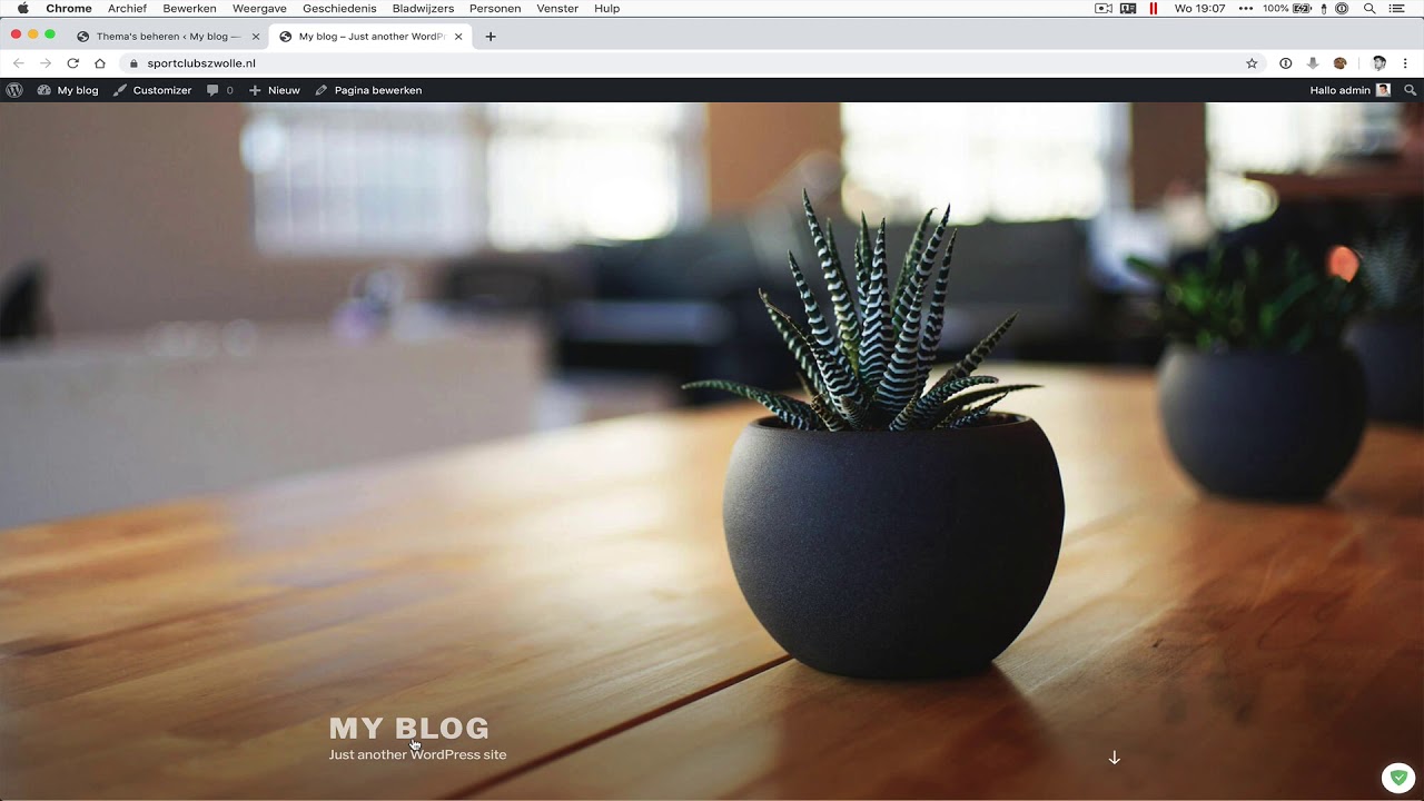 WordPress thema installeren bij Peppix